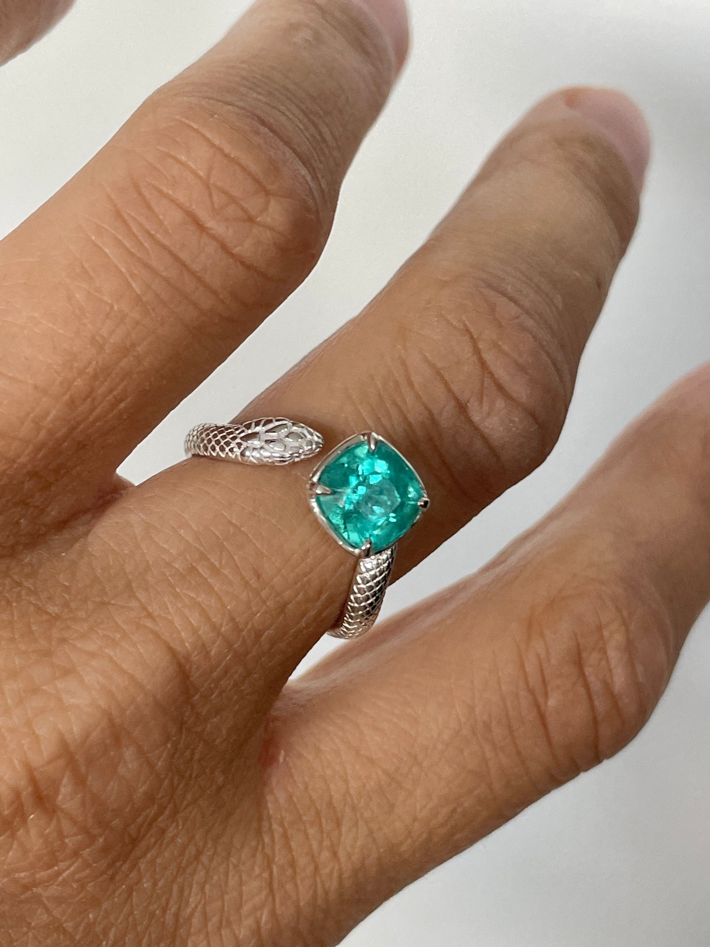 The Snake Ring