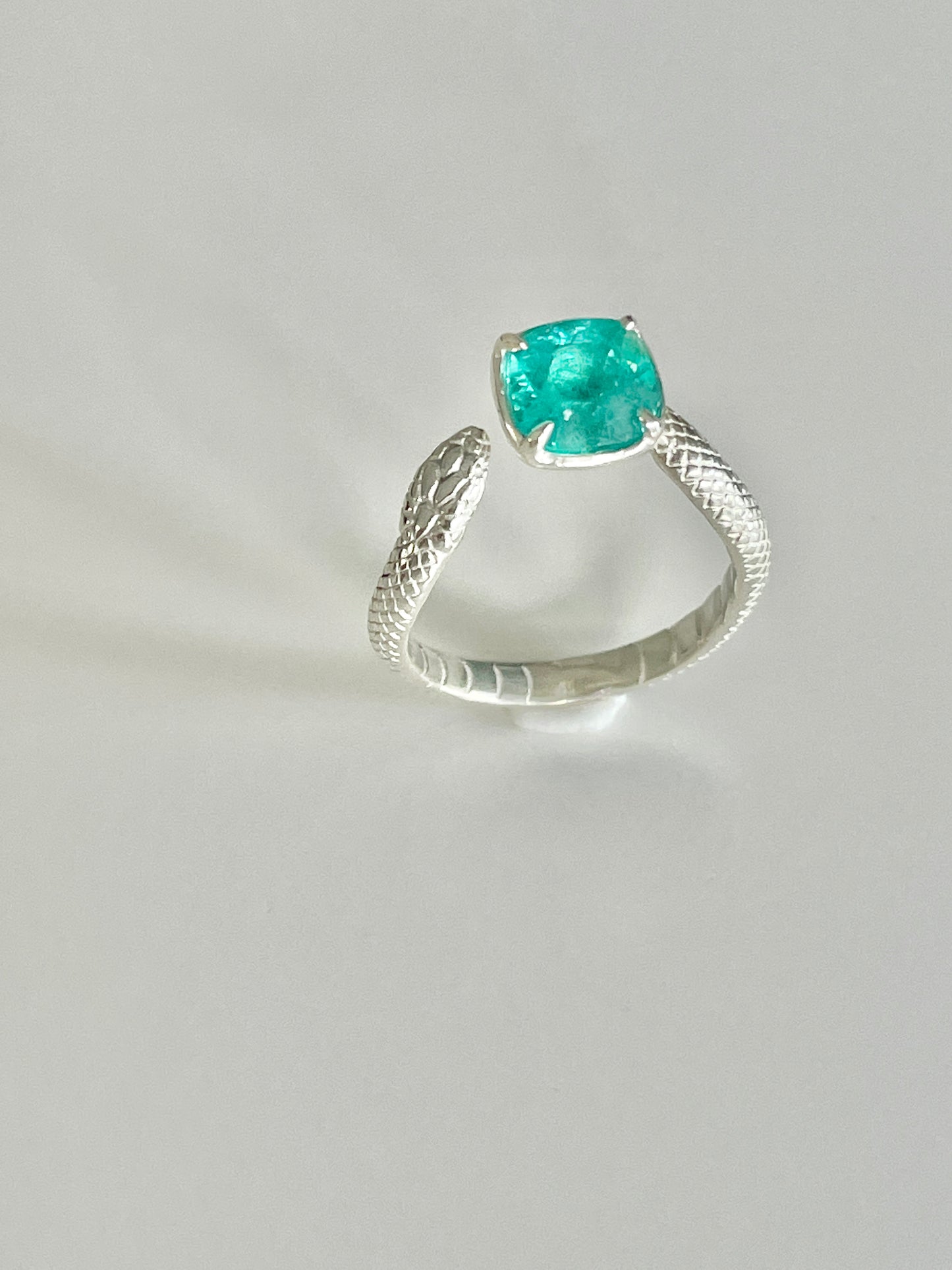 The Snake Ring
