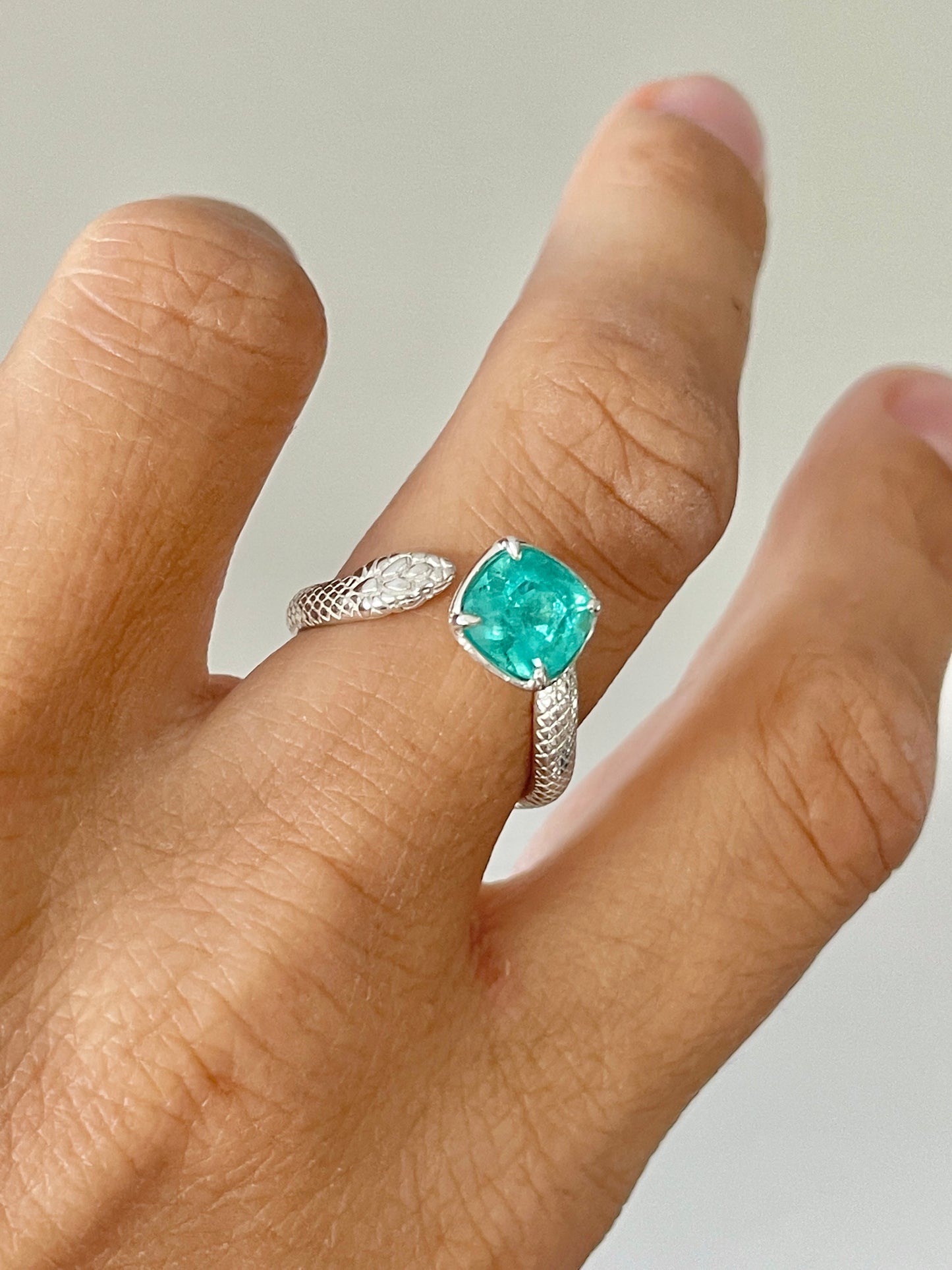 The Snake Ring