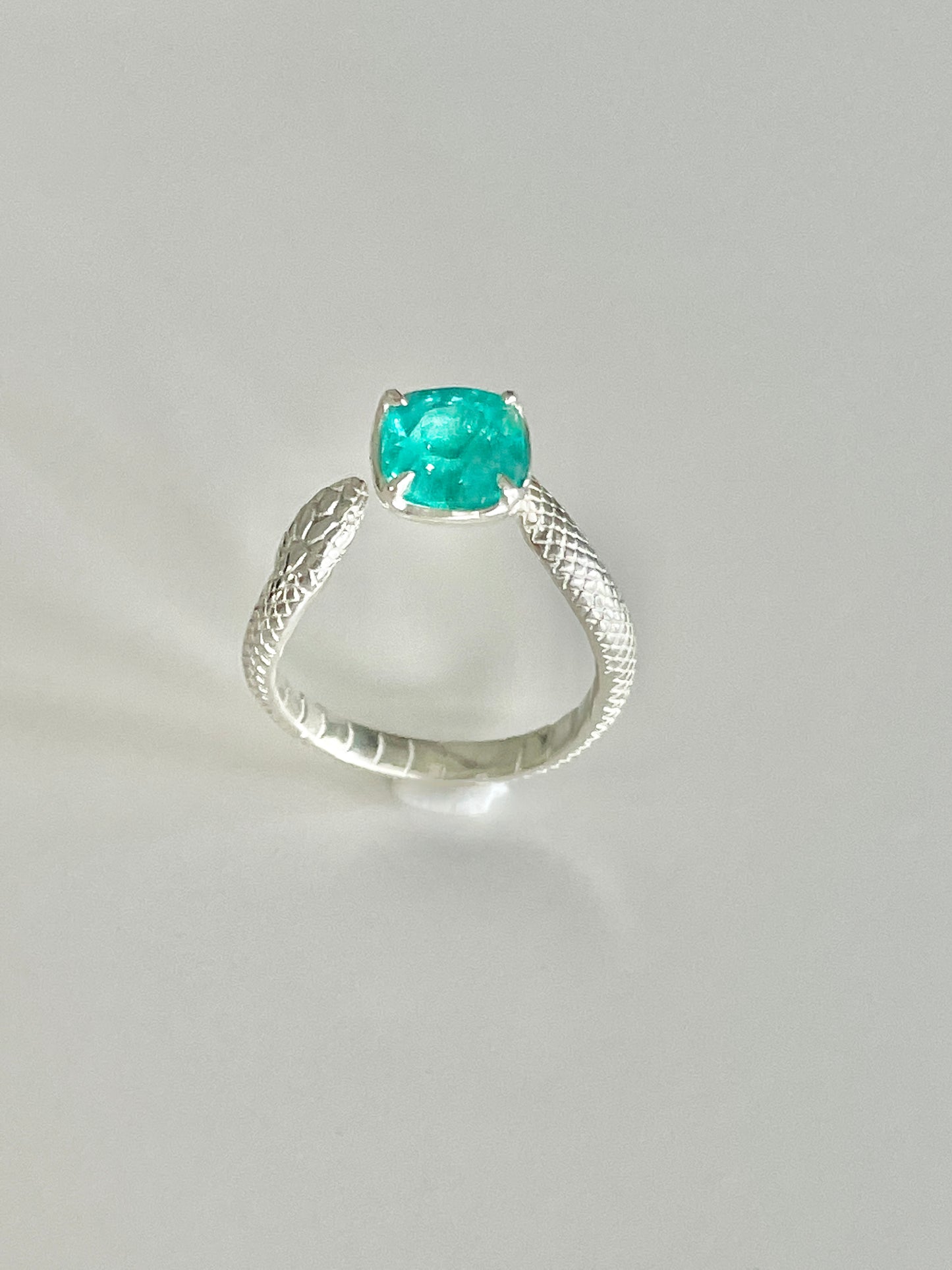 The Snake Ring