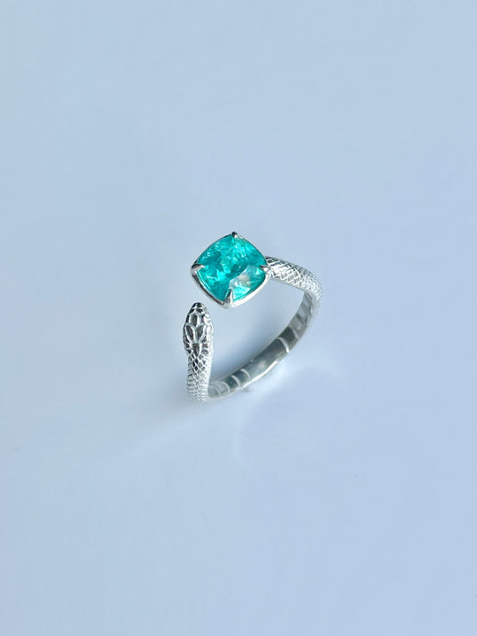The Snake Ring