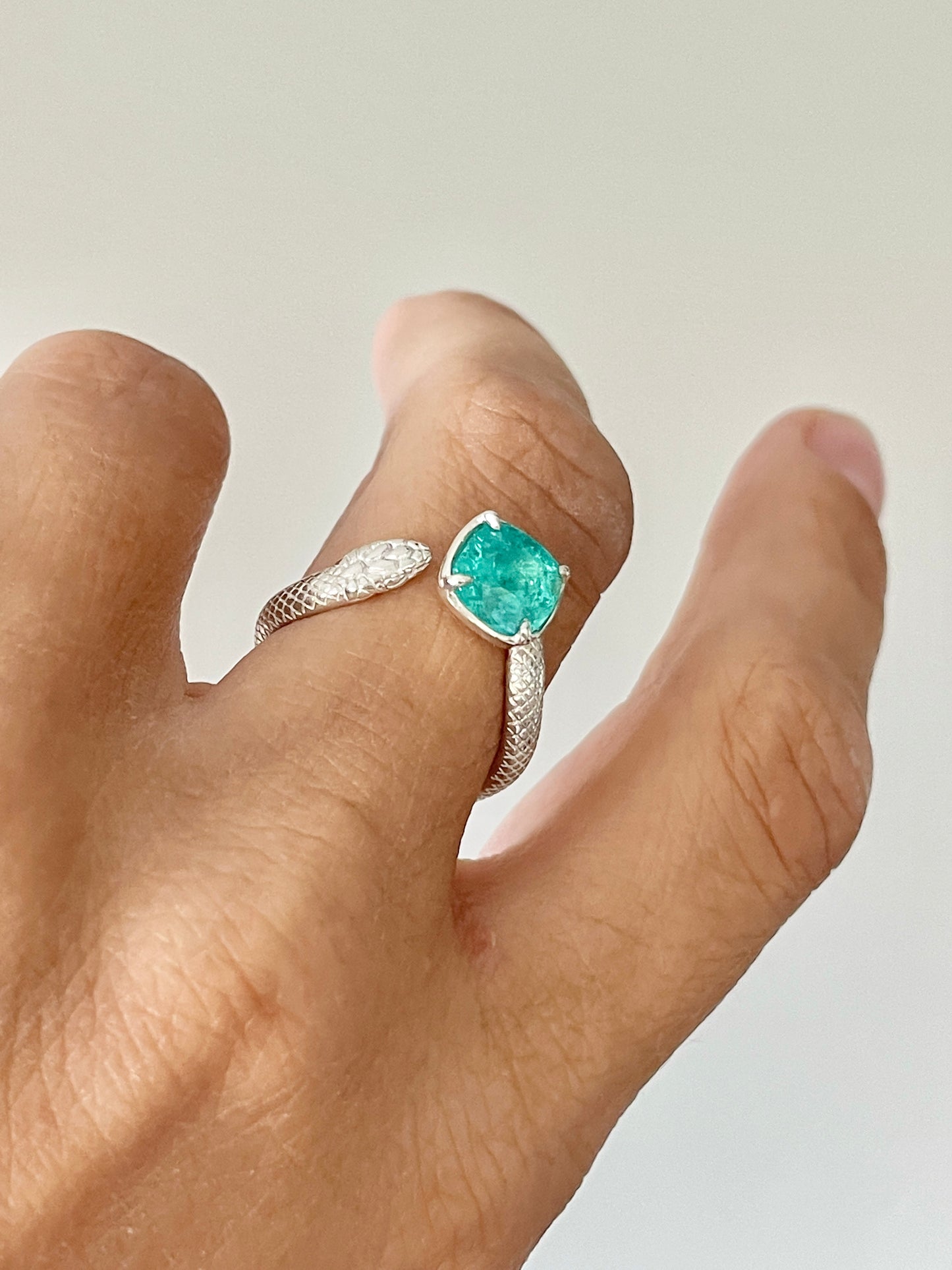 The Snake Ring